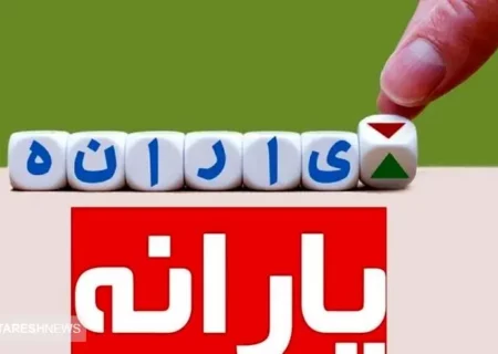 یارانه نقدی این خانوارها به کالا برگ تبدیل می شود