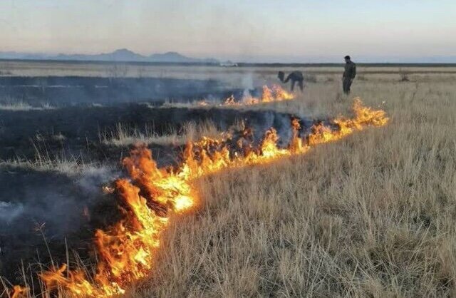 آتش سوزی در جاده لاهیجان – آج بیشه