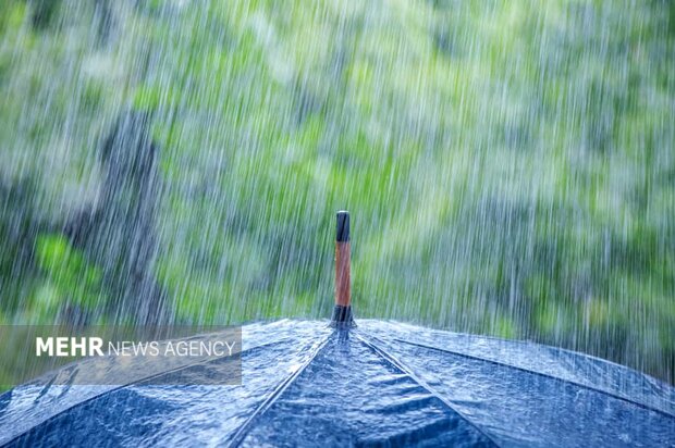 میزان بارش در شهرهای استان بوشهر