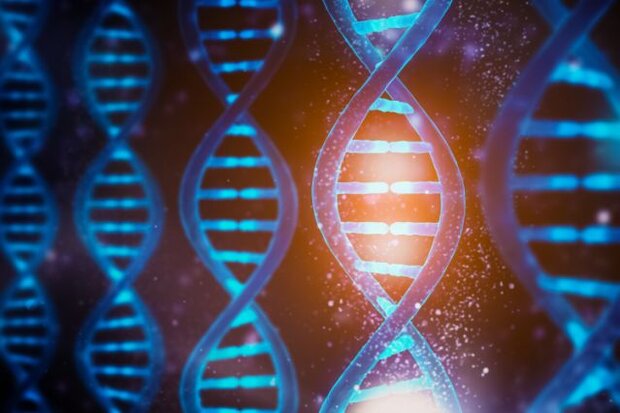 نقشه ۳ بعدی ژنوم جدید انسان راز  DNA را فاش کرد