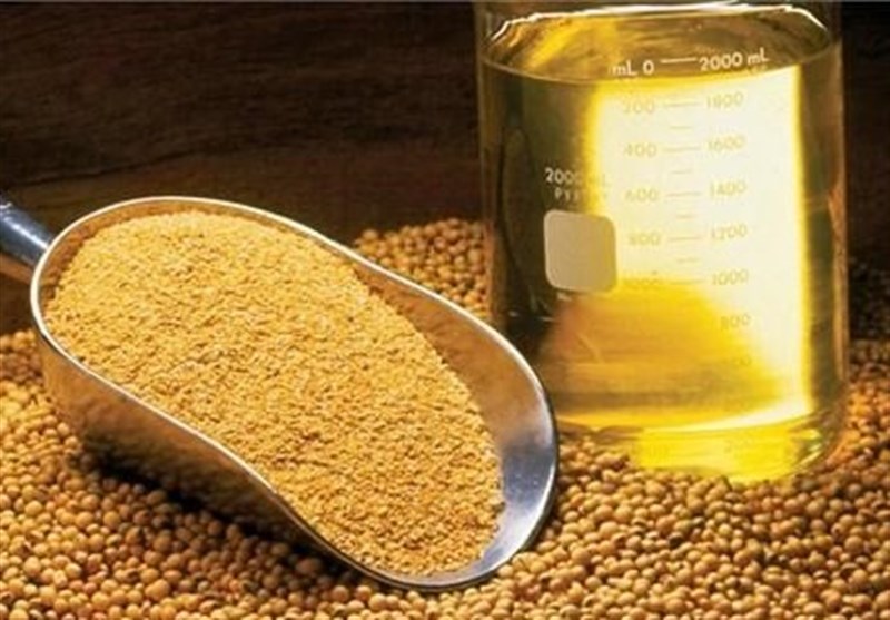 پیش بینی تولید 400 هزار تن دانه‌های روغنی