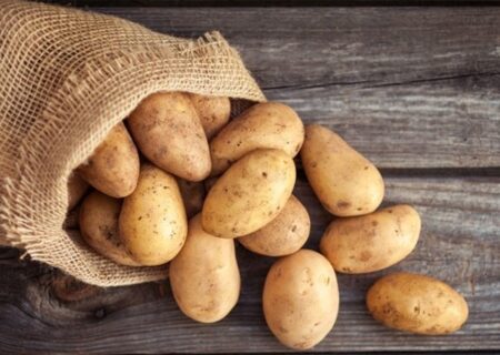 آیا سیب‌زمینی می‌تواند جایگزین غلات در رژیم سالم شود؟