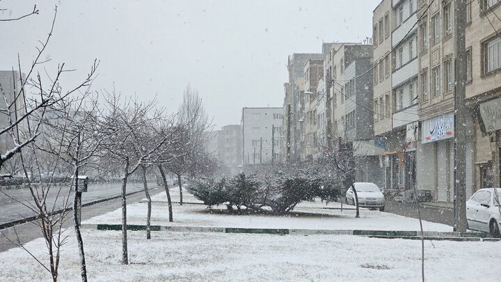 اردبیل سفید پوش شد