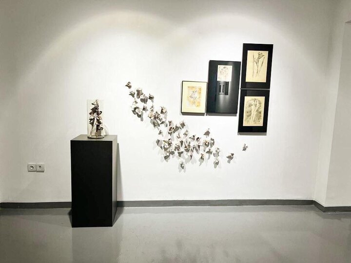 اولین تجربه‌های سرامیک‌بنیان رقم خورد؛ تداخل زیستی در جهان معاصر!