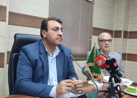 نوید کاهش قیمت گوشت در گلستان؛ واردات ۳۰ هزار رأس دام سبک در راه است