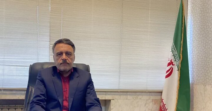 گشت نظارتی ویژه بر نانوایی‌ها و کالاهای اساسی در شاهرود فعال شد