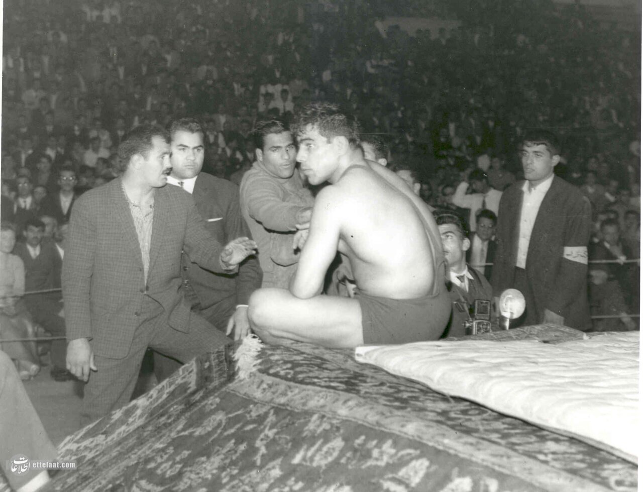 ۲۰ تصویر از جهان پهلوان تختی برای اولین بار منتشر شد + عکس