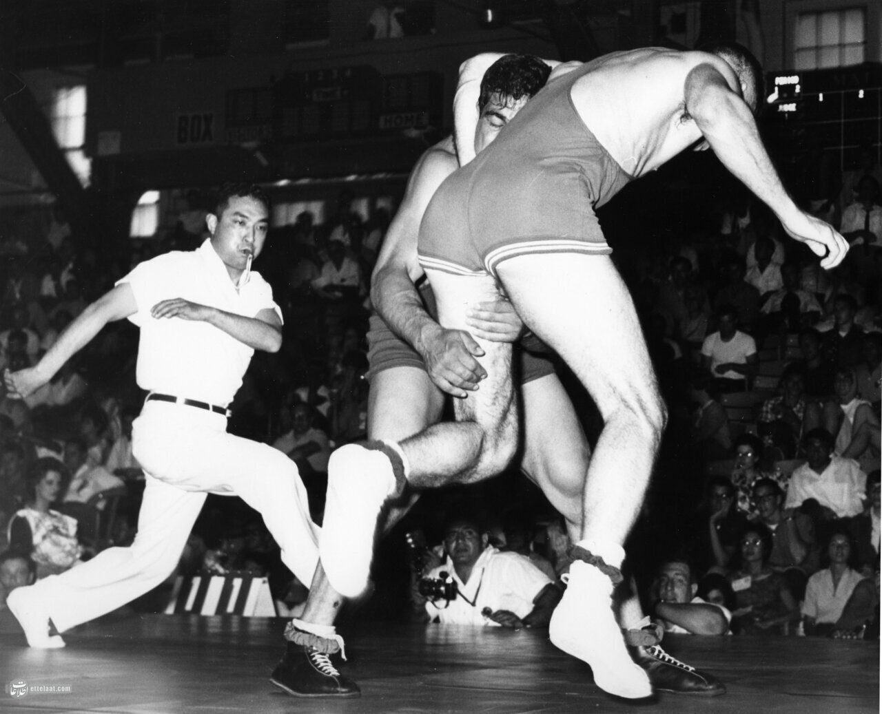 ۲۰ تصویر از جهان پهلوان تختی برای اولین بار منتشر شد + عکس