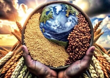 بازارهای جهانی غلات بر سر دوراهی؛ فراوانی، رقابت و توهم ثبات