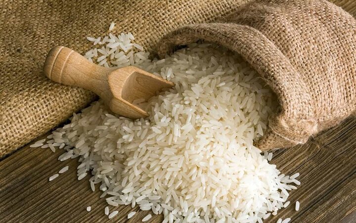 مازندران در استانداردسازی برنج پیشگام است