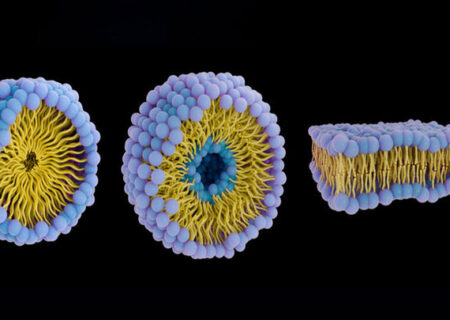 نسل جدید ربات‌ها که مانند زیردریایی در بدن شنا می‌کنند