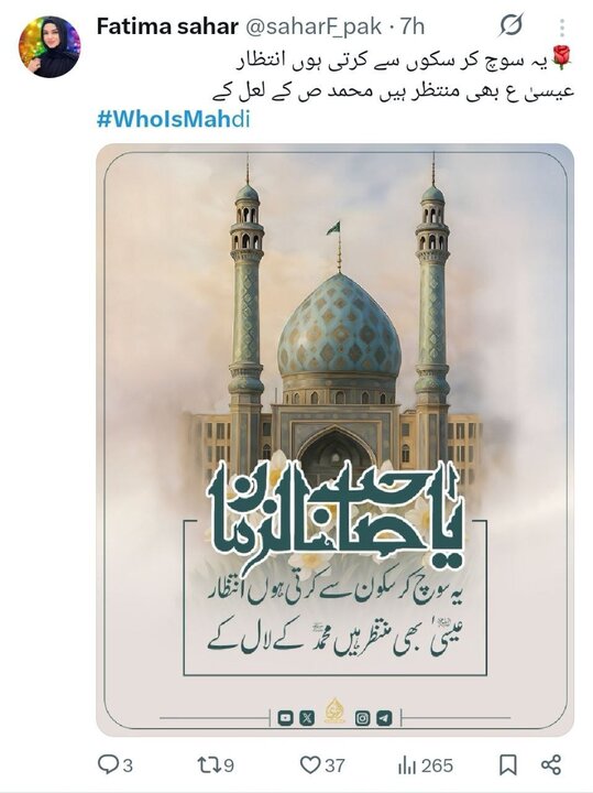 نیمه شعبان؛واکنش کاربران زبان‌های خارجی به کارزار «مهدی کیست؟»+ تصاویر