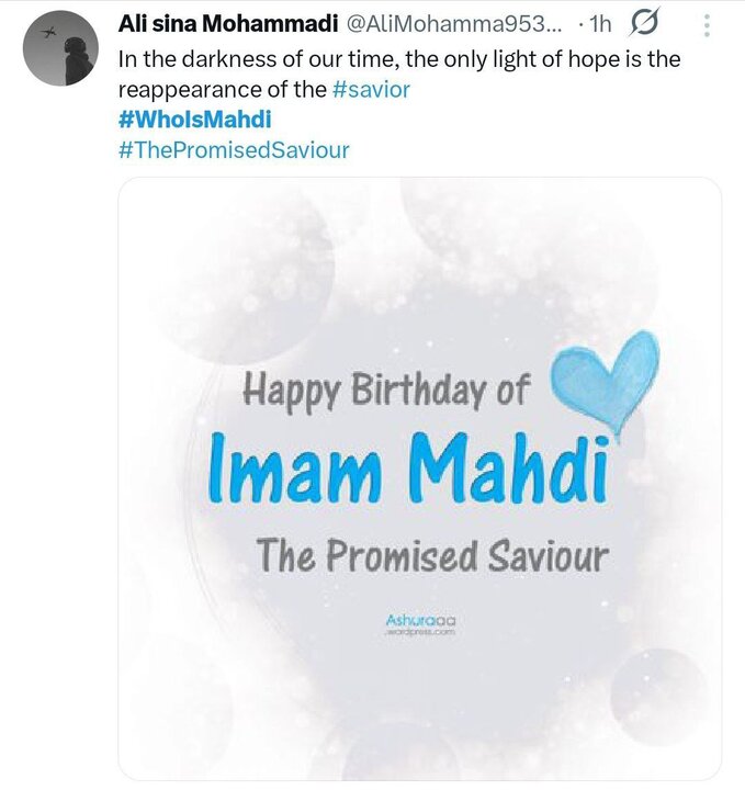 نیمه شعبان؛واکنش کاربران زبان‌های خارجی به کارزار «مهدی کیست؟»+ تصاویر