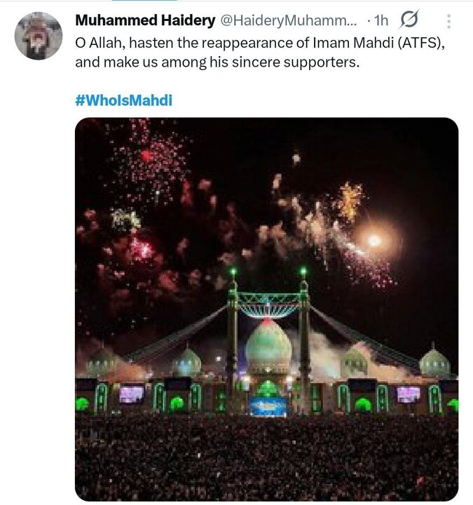 نیمه شعبان؛واکنش کاربران زبان‌های خارجی به کارزار «مهدی کیست؟»+ تصاویر