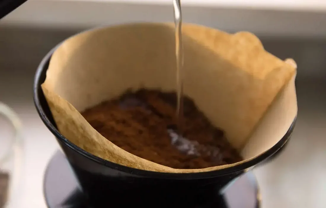 چطور با فیلتر قهوه سلامت ریشه گیاهان خود را تضمین کنید؟