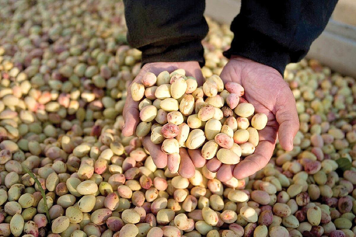 ۱۸ کشور اروپایی مشتری این محصول ایران شدند