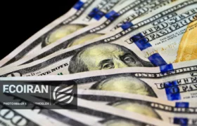 دستور تازه برای متخلفان ارزی/ پرونده‌های بالای ۳ میلیون یورو قضایی می‌شوند
