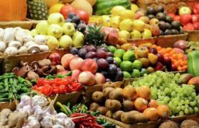 سهم ۲ تا ۳ درصدی ایران از تولید جهانی میوه؛ فرصت صادراتی ایران زیر سایه چالشهای لجستیکی
