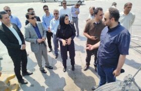 علیمرادی: گوگسر جاسک به رویه ملوانی اضافه می‌شود