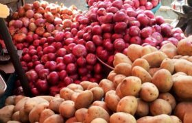 قیمت سیب‌زمینی با کاهش ۵۰ درصدی عرضه، افزایش یافت